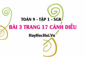 Bài 3 trang 17 Toán 9 tập 1 Cánh Diều